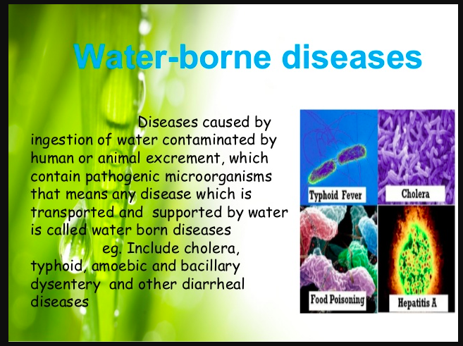 diseases caused by bacteria in water